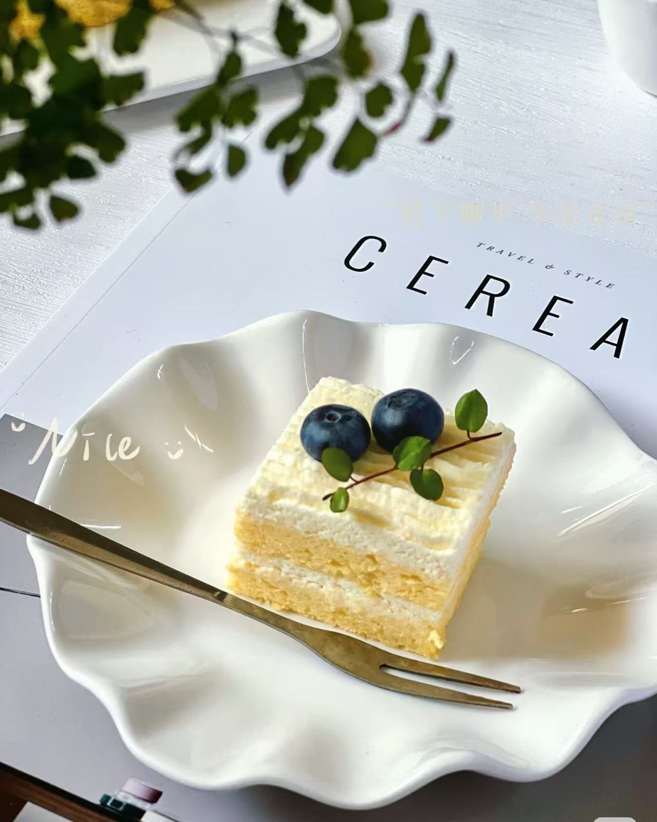 Gateau carré à noix de coco